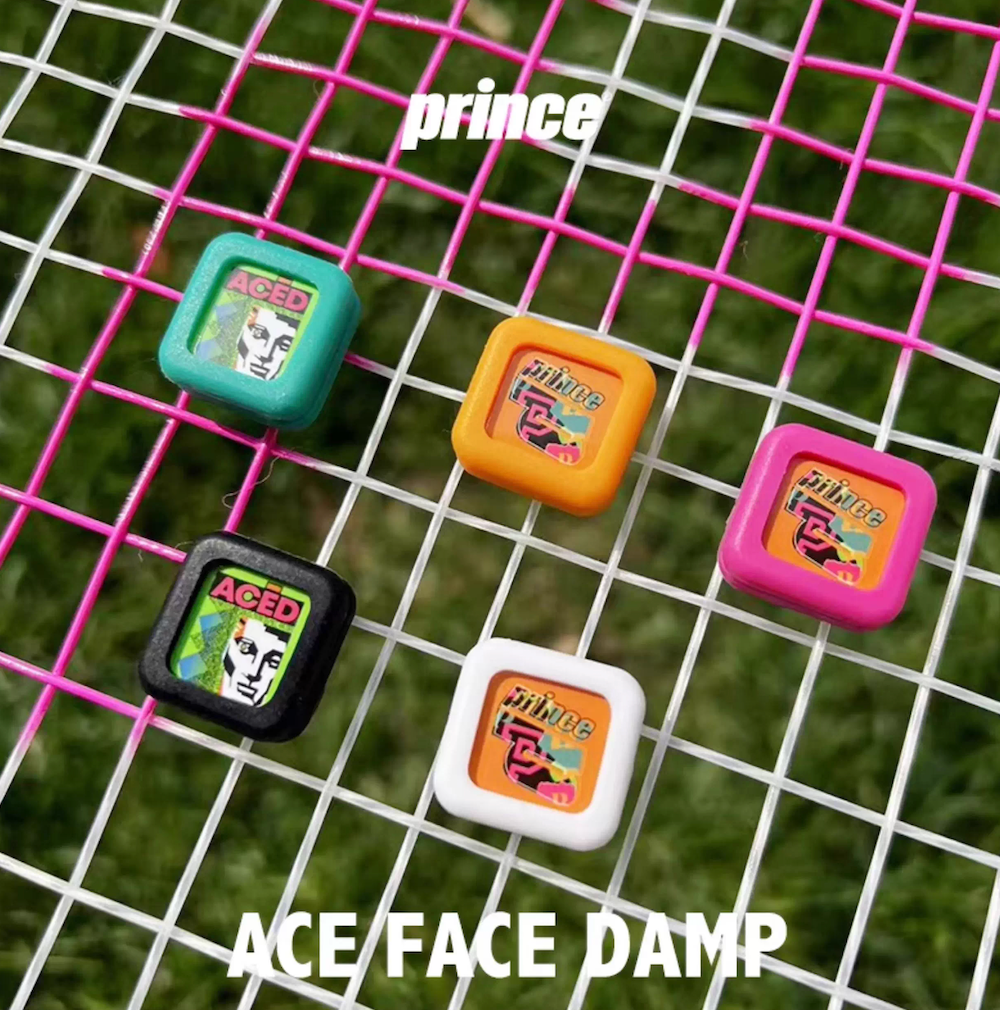 ACE FACE DAMP 避震器